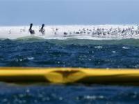 Изображения новости.